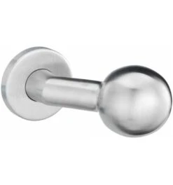 Dieckmann Knopf,auf Rosette, 1052/4020,silberfarbig