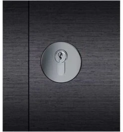 FSB ZT-Schlüsselrosette, PZ, DL-R, Edelstahl, Mod. 1737, Matt Edelstahl, Verdeckt Ver