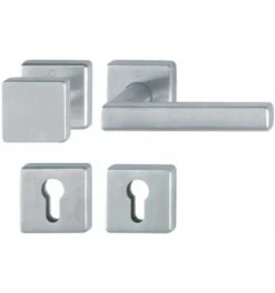 Hoppe FS-Garnitur Dallas FS-E43L/52/52S/1643 VA F69 D/K TS 40-65mm PZ Quad.