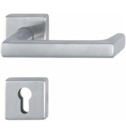 Hoppe FS-Garnitur Dallas FS-E1644/52/52S AP VA F69 D/D TS 40-65mm PZ Quad.